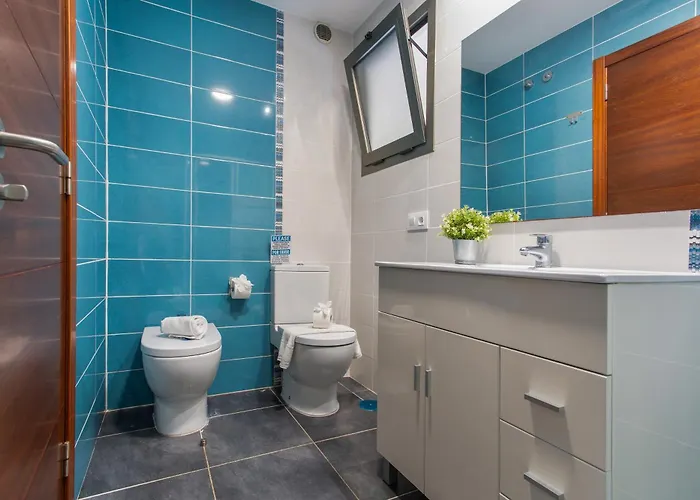 Rolycar 204 إيكود ذي لوس فينوس