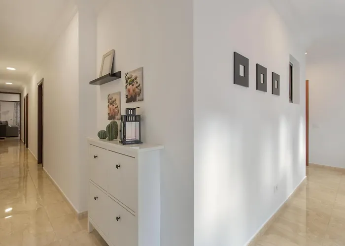 Rolycar 204 إيكود ذي لوس فينوس