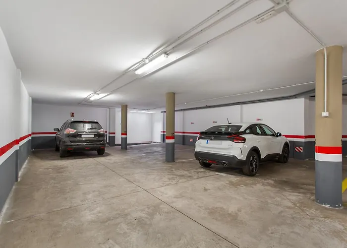 Rolycar 204 إيكود ذي لوس فينوس